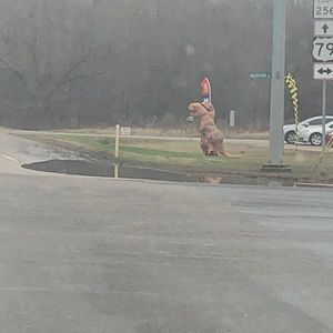 Meet your Posher, Cherie